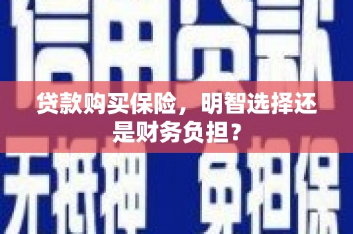 两当贷款购买保险，明智选择还是财务负担？