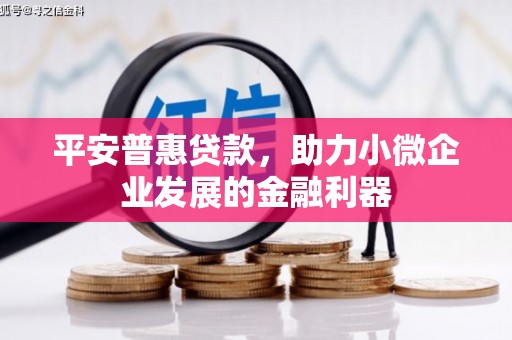两当平安普惠贷款，助力小微企业发展的金融利器