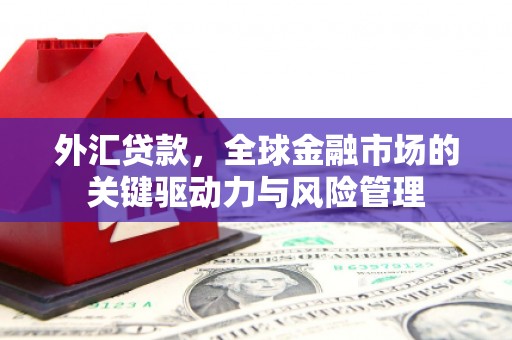 两当外汇贷款，全球金融市场的关键驱动力与风险管理