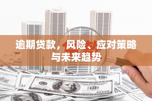 两当逾期贷款，风险、应对策略与未来趋势