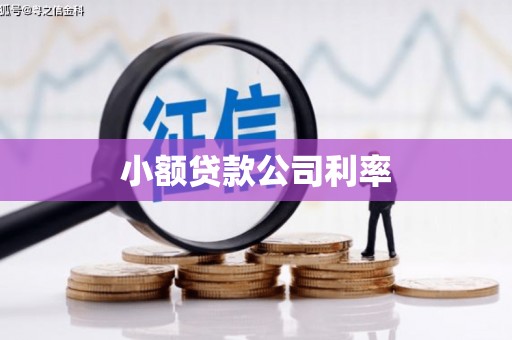 两当小额贷款公司利率