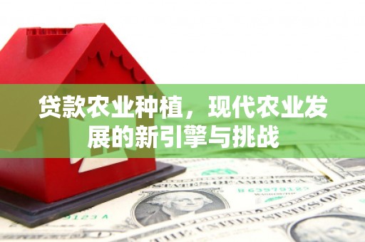 两当贷款农业种植，现代农业发展的新引擎与挑战