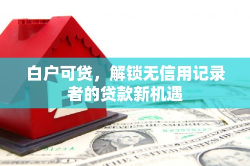 两当白户可贷，解锁无信用记录者的贷款新机遇