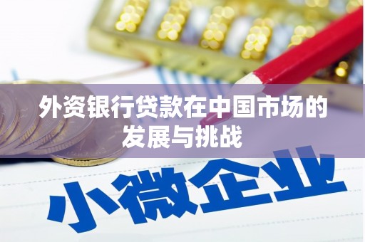 两当外资银行贷款在中国市场的发展与挑战
