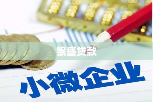 两当银盛贷款