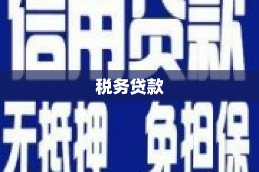 两当税务贷款