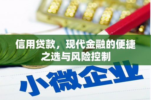 两当信用贷款，现代金融的便捷之选与风险控制