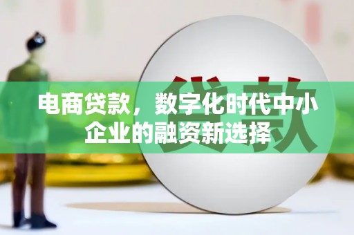两当电商贷款，数字化时代中小企业的融资新选择