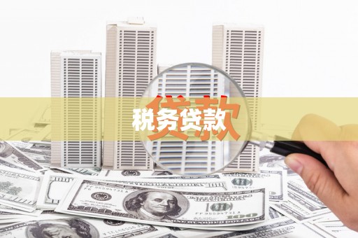 两当税务贷款