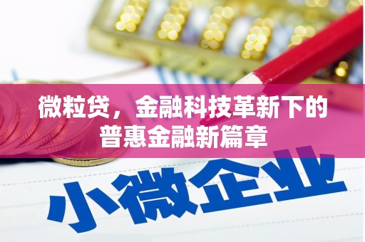 两当微粒贷，金融科技革新下的普惠金融新篇章