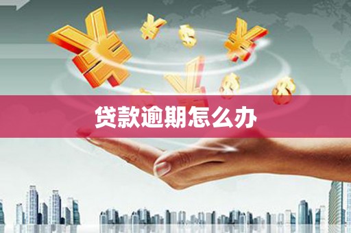 两当贷款逾期怎么办