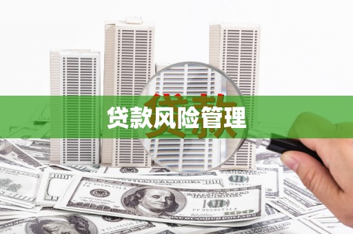 两当贷款风险管理