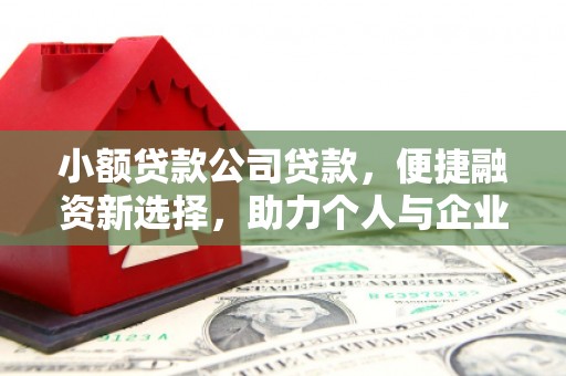 两当小额贷款公司贷款，便捷融资新选择，助力个人与企业成长