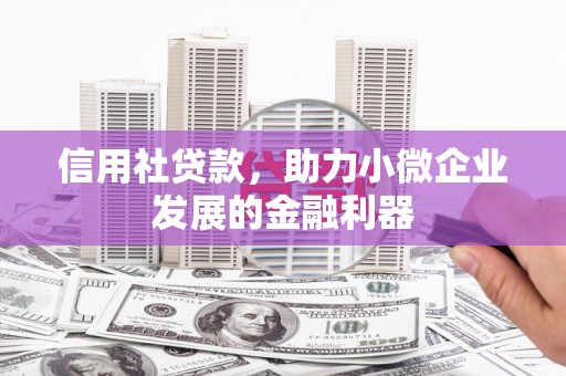 两当信用社贷款，助力小微企业发展的金融利器