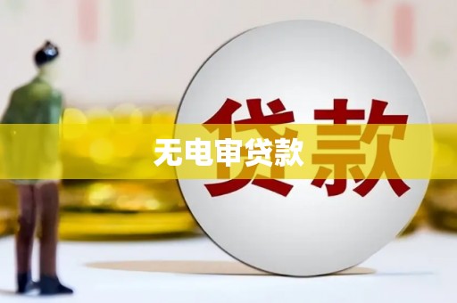 两当无电审贷款