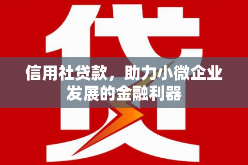 两当信用社贷款，助力小微企业发展的金融利器