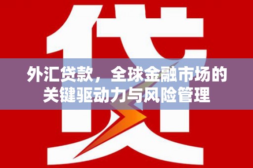 两当外汇贷款，全球金融市场的关键驱动力与风险管理