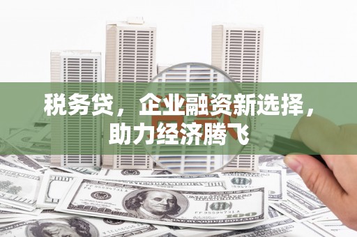 两当税务贷，企业融资新选择，助力经济腾飞