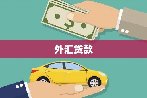 两当外汇贷款