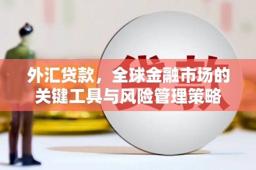 两当外汇贷款，全球金融市场的关键工具与风险管理策略