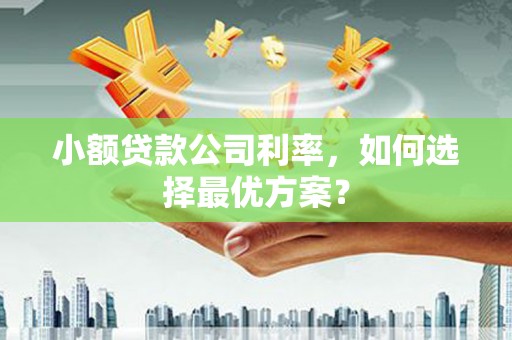 两当小额贷款公司利率，如何选择最优方案？