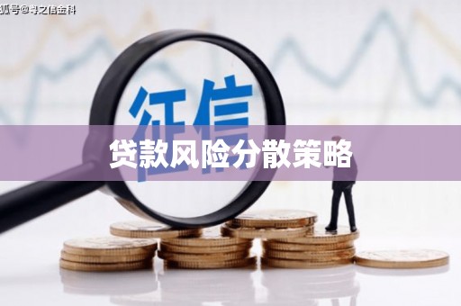 两当贷款风险分散策略