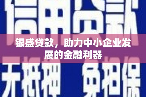 两当银盛贷款，助力中小企业发展的金融利器