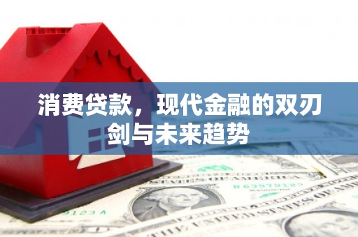两当消费贷款，现代金融的双刃剑与未来趋势