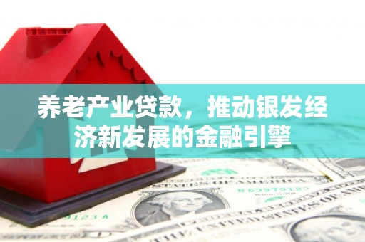 两当养老产业贷款，推动银发经济新发展的金融引擎