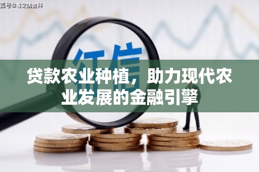 两当贷款农业种植，助力现代农业发展的金融引擎