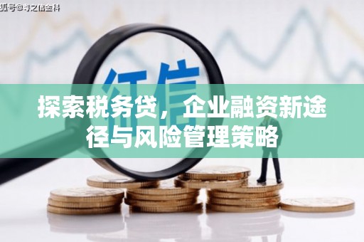 两当探索税务贷，企业融资新途径与风险管理策略