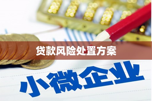 两当贷款风险处置方案