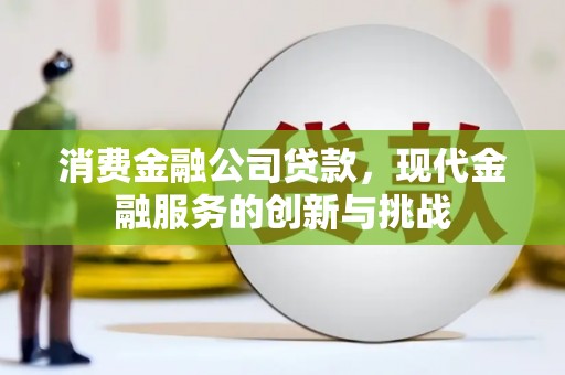 两当消费金融公司贷款，现代金融服务的创新与挑战