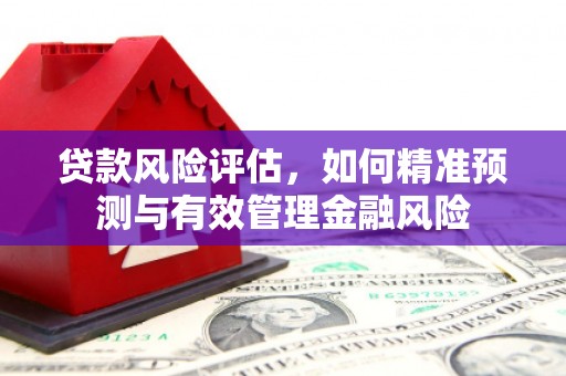 两当贷款风险评估，如何精准预测与有效管理金融风险