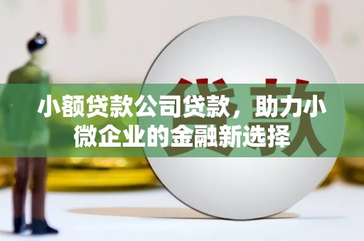 两当小额贷款公司贷款，助力小微企业的金融新选择