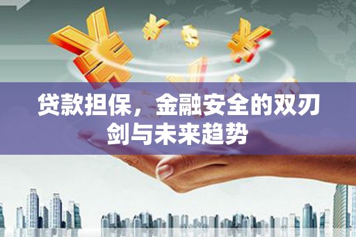两当贷款担保，金融安全的双刃剑与未来趋势