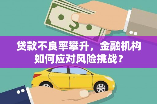 两当贷款不良率攀升，金融机构如何应对风险挑战？