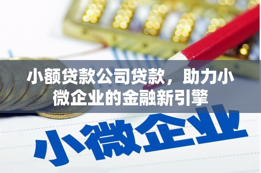 两当小额贷款公司贷款，助力小微企业的金融新引擎