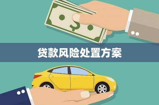 两当贷款风险处置方案