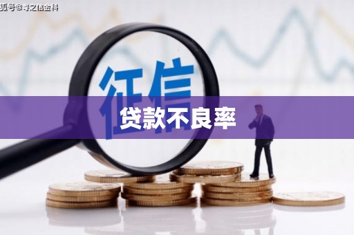两当贷款不良率