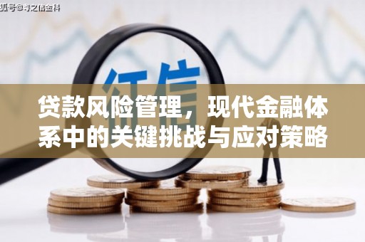 两当贷款风险管理，现代金融体系中的关键挑战与应对策略