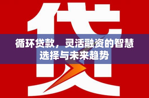 两当循环贷款，灵活融资的智慧选择与未来趋势