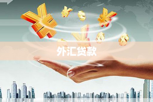 两当外汇贷款