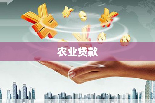 两当农业贷款
