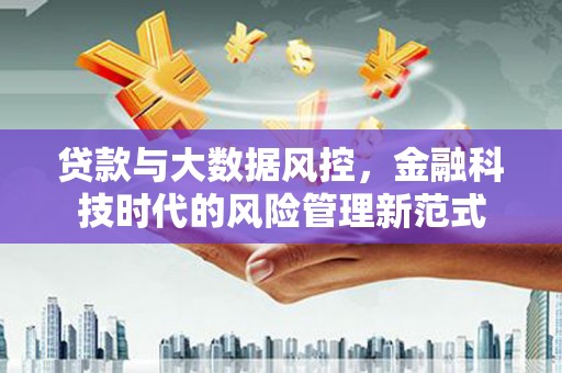 两当贷款与大数据风控，金融科技时代的风险管理新范式