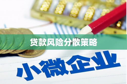 两当贷款风险分散策略