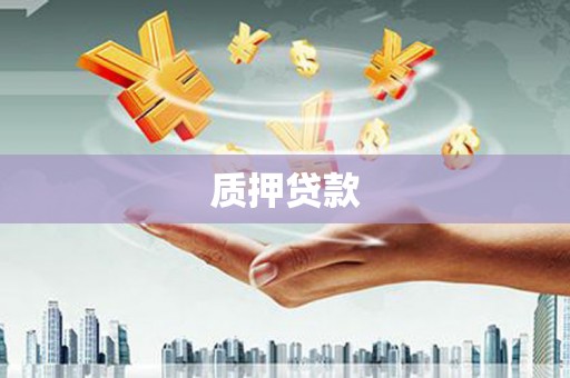 两当质押贷款