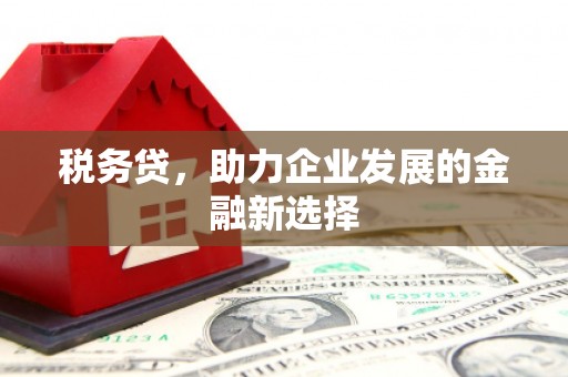 两当税务贷，助力企业发展的金融新选择