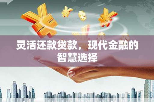 两当灵活还款贷款，现代金融的智慧选择