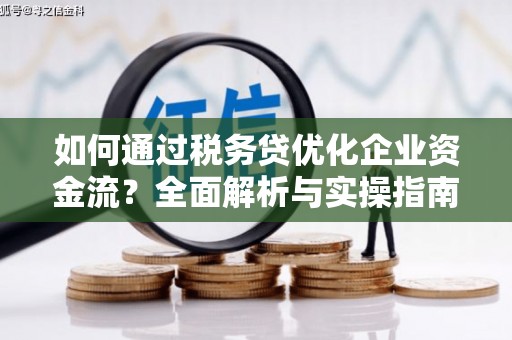两当如何通过税务贷优化企业资金流？全面解析与实操指南